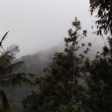 Bandekallu Homestay Chikmagalūr Dış mekan fotoğraf